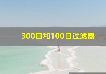 300目和100目过滤器