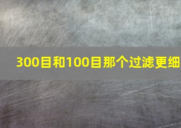 300目和100目那个过滤更细