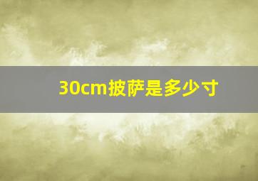 30cm披萨是多少寸