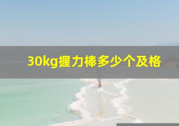 30kg握力棒多少个及格