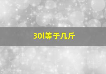 30l等于几斤