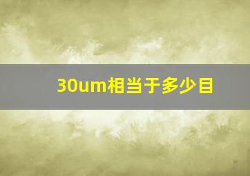 30um相当于多少目