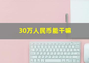 30万人民币能干嘛