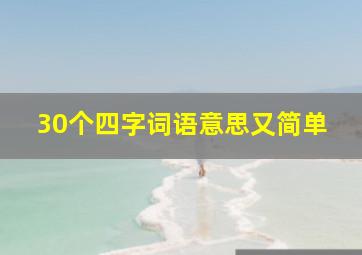 30个四字词语意思又简单