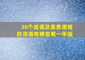 30个成语及意思很短的词语有哪些呢一年级