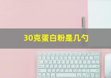 30克蛋白粉是几勺