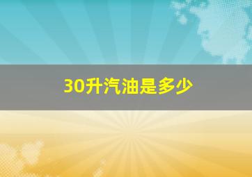 30升汽油是多少