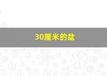 30厘米的盆