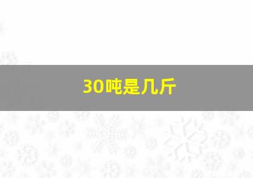 30吨是几斤