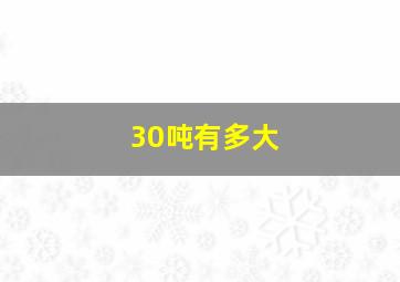 30吨有多大