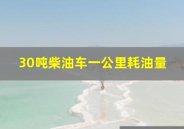 30吨柴油车一公里耗油量