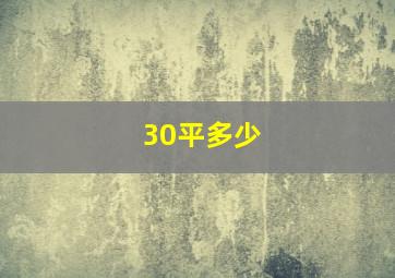 30平多少