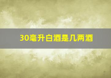 30毫升白酒是几两酒