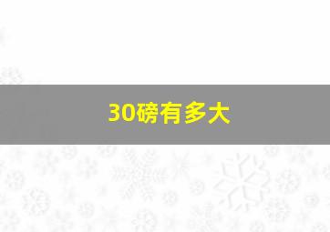 30磅有多大