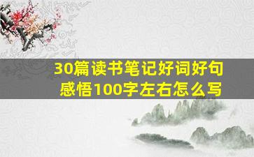 30篇读书笔记好词好句感悟100字左右怎么写