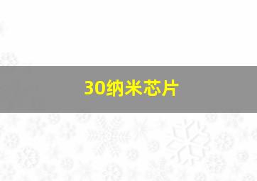 30纳米芯片