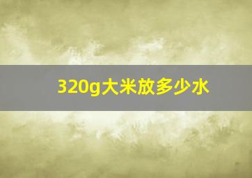 320g大米放多少水