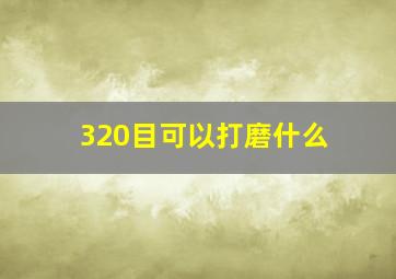 320目可以打磨什么