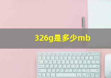 326g是多少mb