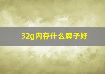 32g内存什么牌子好