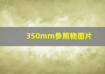 350mm参照物图片