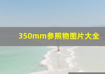 350mm参照物图片大全