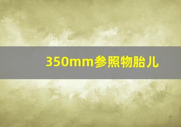 350mm参照物胎儿