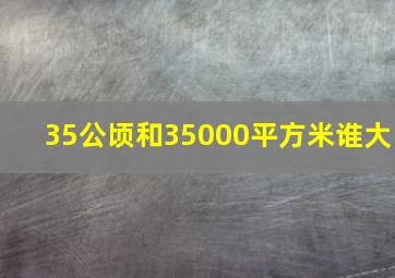 35公顷和35000平方米谁大