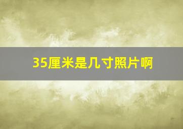 35厘米是几寸照片啊