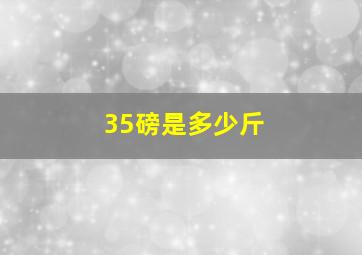 35磅是多少斤