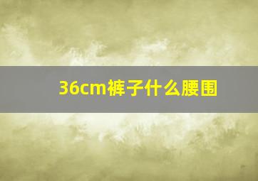 36cm裤子什么腰围