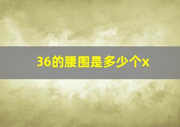 36的腰围是多少个x