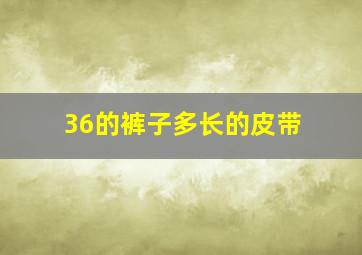 36的裤子多长的皮带