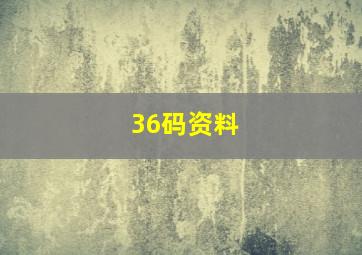 36码资料