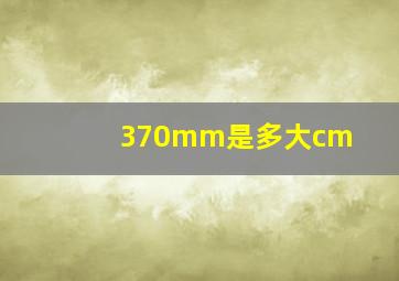 370mm是多大cm