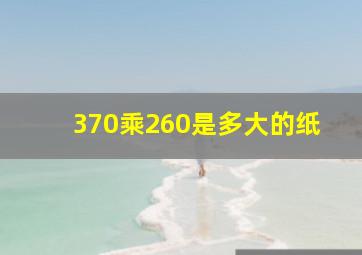 370乘260是多大的纸