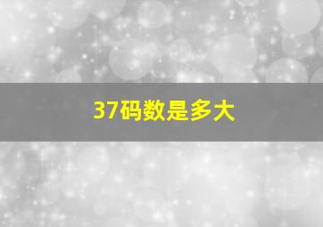 37码数是多大