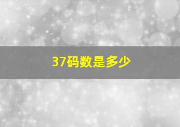 37码数是多少