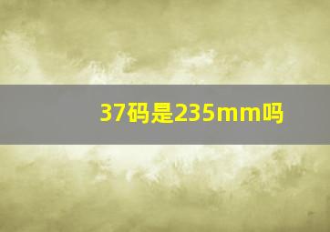 37码是235mm吗