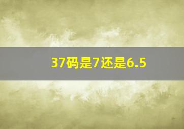 37码是7还是6.5