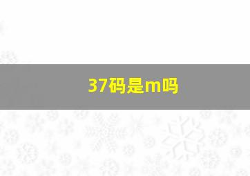 37码是m吗