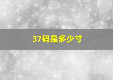 37码是多少寸