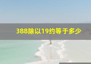 388除以19约等于多少