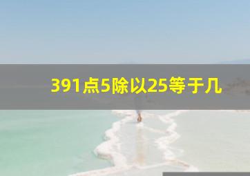 391点5除以25等于几