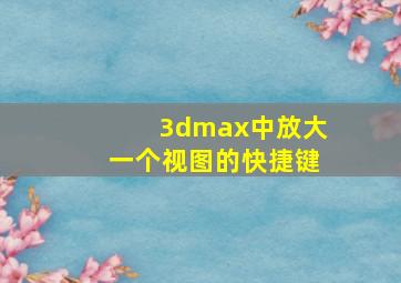 3dmax中放大一个视图的快捷键