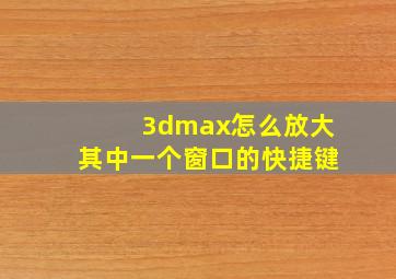 3dmax怎么放大其中一个窗口的快捷键