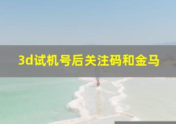 3d试机号后关注码和金马