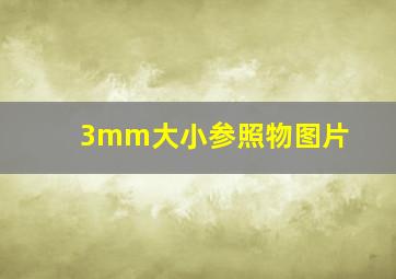 3mm大小参照物图片