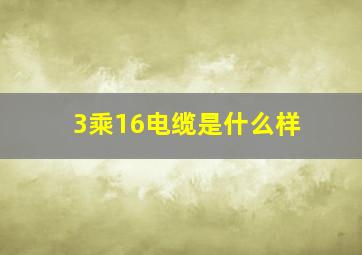 3乘16电缆是什么样