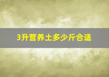 3升营养土多少斤合适